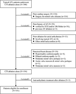 Risk of New-Onset Atrial Fibrillation Post-cavotricuspid Isthmus Ablation in Typical Atrial Flutter Without History of Atrial Fibrillation